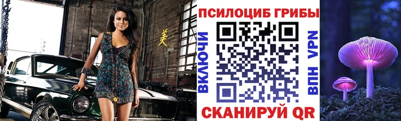 Галлюциногенные грибы мицелий  Купить закладки  Новая Усмань 