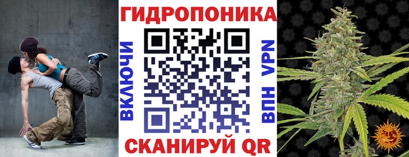 Купить закладки  Новая Усмань  Марихуана сатива 
